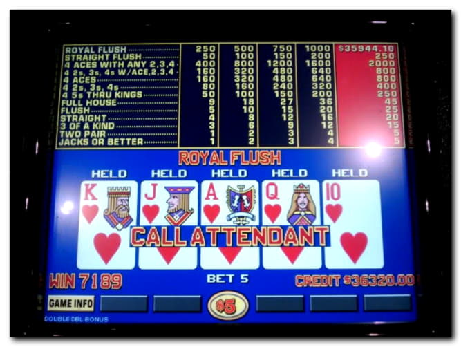 110% Royal Panda Casinoのサインアップカジノボーナス